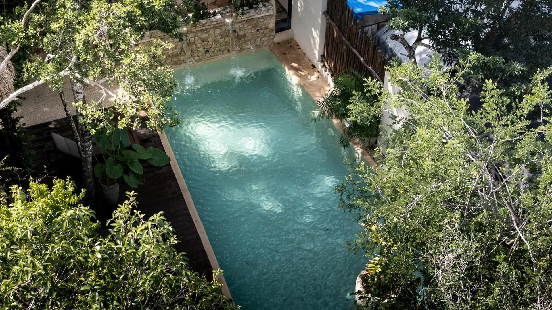 Apartment Jungle Resort Suite With Private Pool Near Tulum Balcheil Mexiko