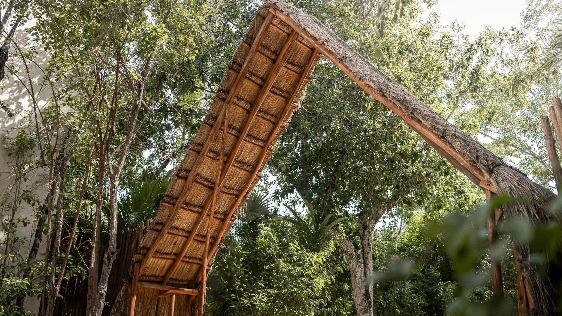 Jungle Resort Suite With Private Pool Near Tulum Balcheil Apartment